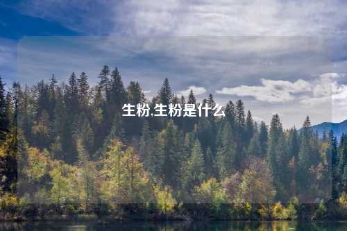 生粉,生粉是什么