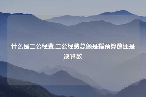 什么是三公经费,三公经费总额是指预算数还是决算数