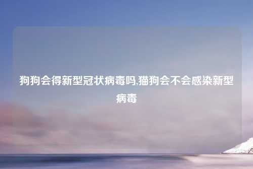 狗狗会得新型冠状病毒吗,猫狗会不会感染新型病毒