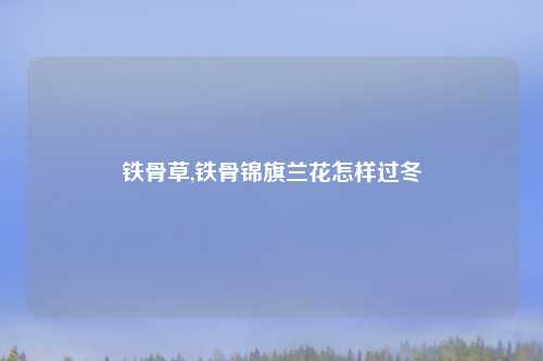 铁骨草,铁骨锦旗兰花怎样过冬