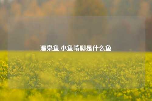 温泉鱼,小鱼啃脚是什么鱼