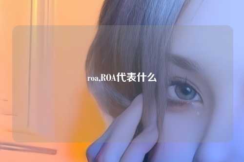 roa,ROA代表什么