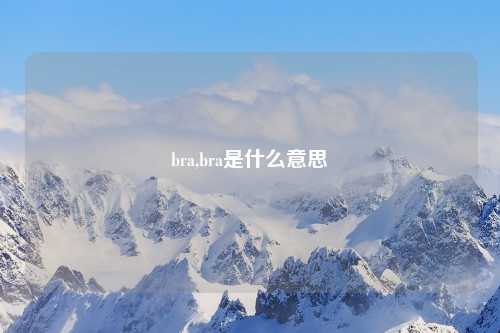 bra,bra是什么意思