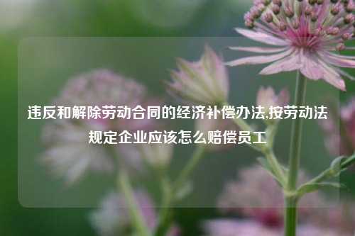 违反和解除劳动合同的经济补偿办法,按劳动法规定企业应该怎么赔偿员工