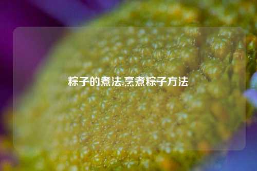 粽子的煮法,烹煮粽子方法