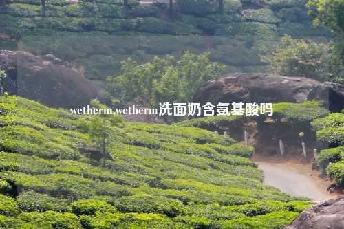 wetherm,wetherm洗面奶含氨基酸吗