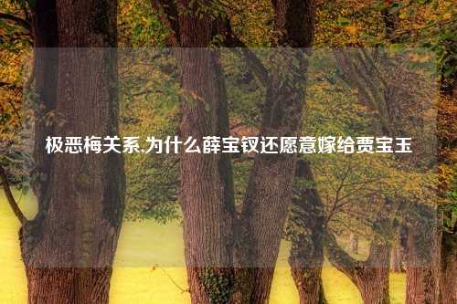 极恶梅关系,为什么薛宝钗还愿意嫁给贾宝玉