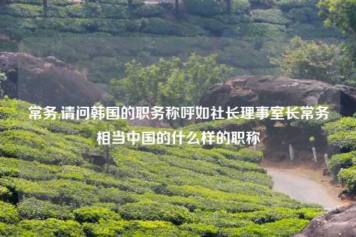 常务,请问韩国的职务称呼如社长理事室长常务相当中国的什么样的职称