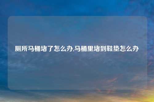厕所马桶堵了怎么办,马桶里堵到鞋垫怎么办
