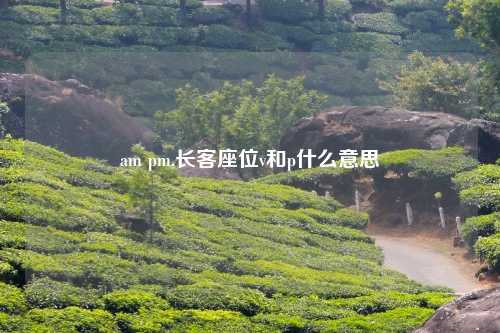am pm,长客座位v和p什么意思