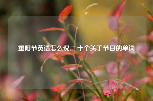 重阳节英语怎么说,二十个关于节日的单词