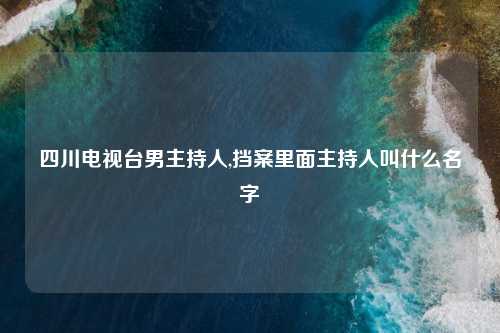 四川电视台男主持人,挡案里面主持人叫什么名字