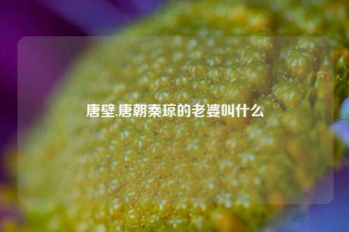 唐壁,唐朝秦琼的老婆叫什么