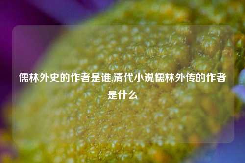 儒林外史的作者是谁,清代小说儒林外传的作者是什么