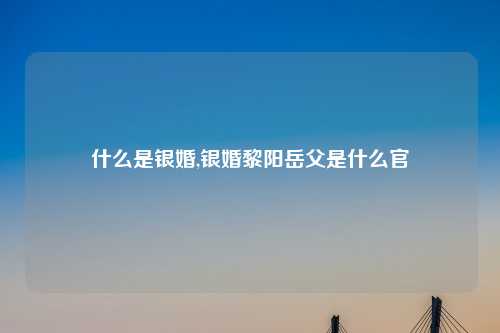 什么是银婚,银婚黎阳岳父是什么官