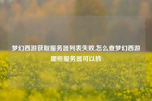 梦幻西游获取服务器列表失败,怎么查梦幻西游哪些服务器可以转
