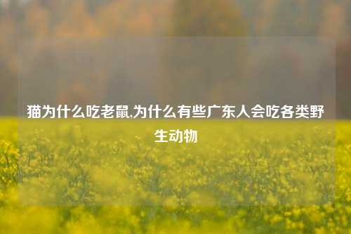 猫为什么吃老鼠,为什么有些广东人会吃各类野生动物