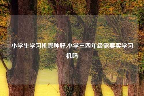 小学生学习机哪种好,小学三四年级需要买学习机吗