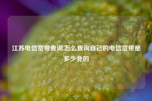 江苏电信宽带查询,怎么查询自己的电信宽带是多少兆的