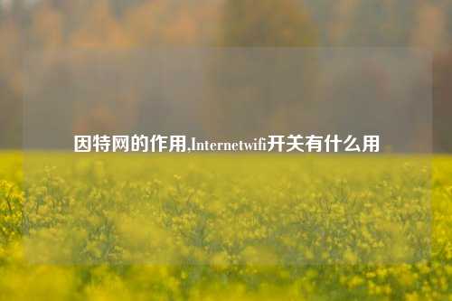 因特网的作用,Internetwifi开关有什么用