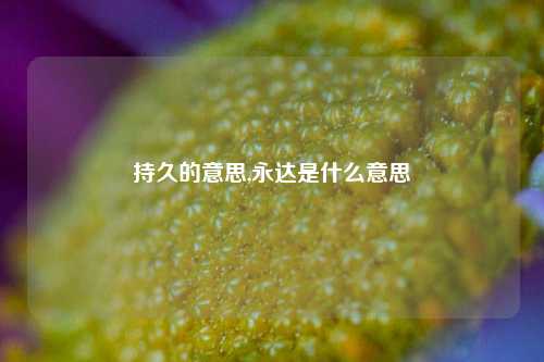 持久的意思,永达是什么意思