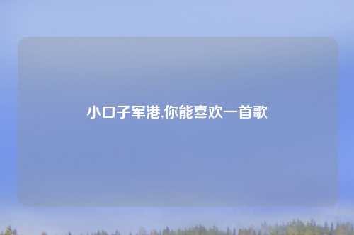 小口子军港,你能喜欢一首歌