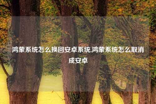 鸿蒙系统怎么换回安卓系统,鸿蒙系统怎么取消成安卓