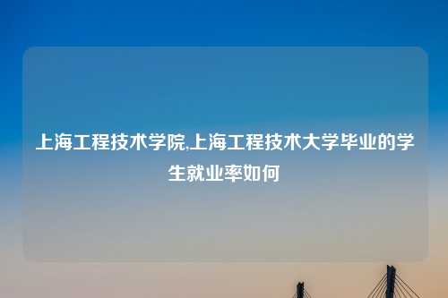 上海工程技术学院,上海工程技术大学毕业的学生就业率如何