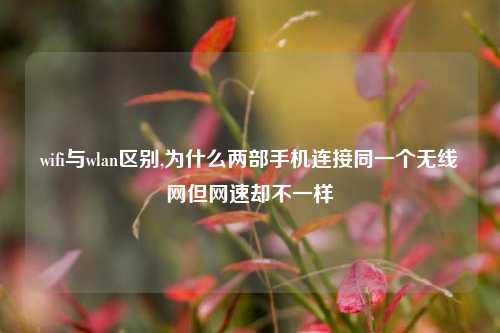 wifi与wlan区别,为什么两部手机连接同一个无线网但网速却不一样