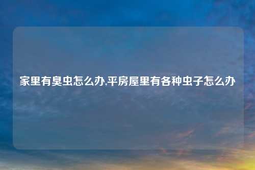 家里有臭虫怎么办,平房屋里有各种虫子怎么办