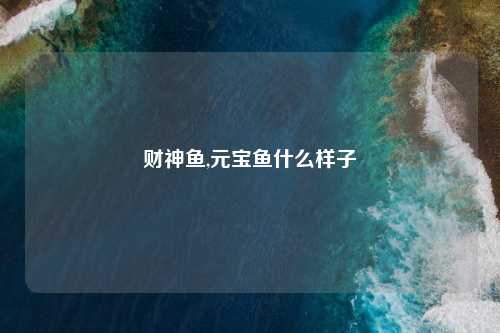 财神鱼,元宝鱼什么样子
