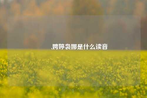 龘龘,娉婷袅娜是什么读音
