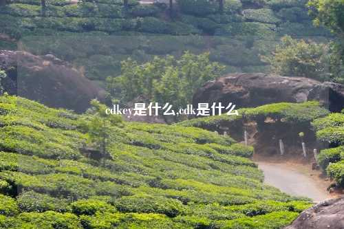 cdkey是什么,cdk是什么