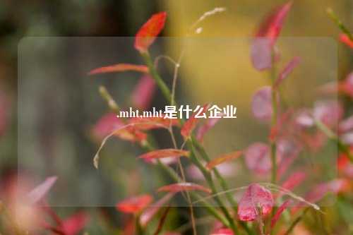 .mht,mht是什么企业