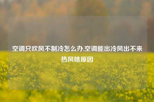 空调只吹风不制冷怎么办,空调能出冷风出不来热风啥原因