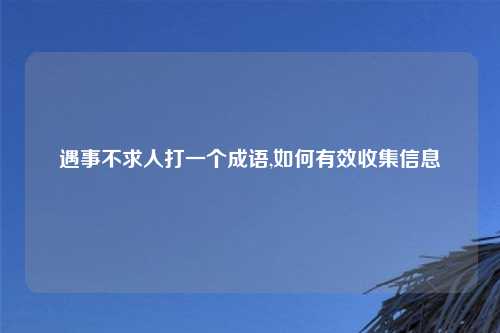 遇事不求人打一个成语,如何有效收集信息