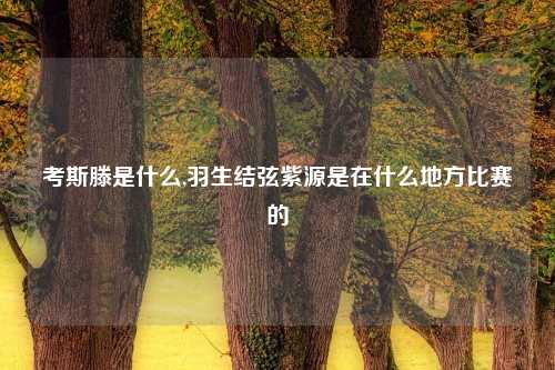 考斯滕是什么,羽生结弦紫源是在什么地方比赛的