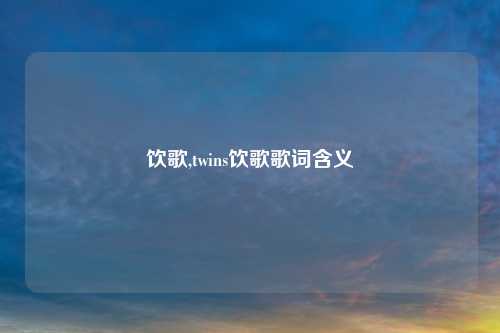 饮歌,twins饮歌歌词含义