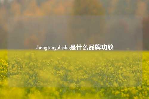shengtong,dasbo是什么品牌功放