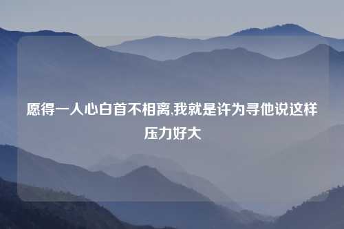 愿得一人心白首不相离,我就是许为寻他说这样压力好大