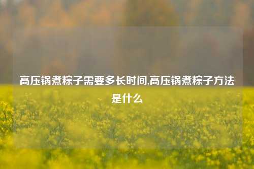 高压锅煮粽子需要多长时间,高压锅煮粽子方法是什么