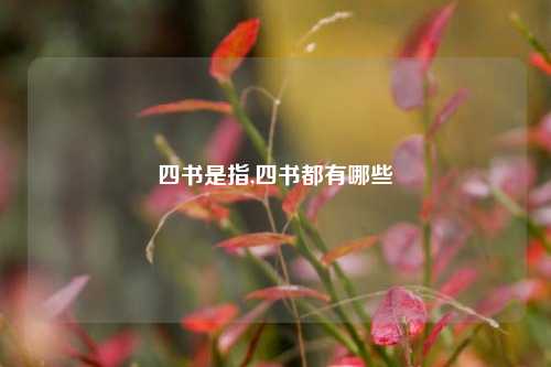 四书是指,四书都有哪些