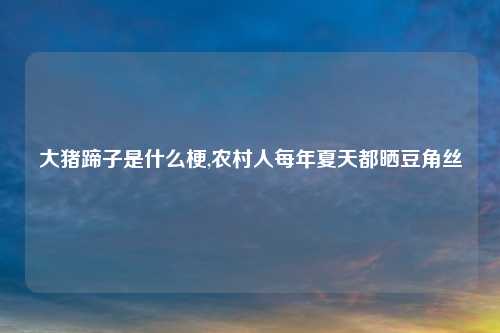 大猪蹄子是什么梗,农村人每年夏天都晒豆角丝