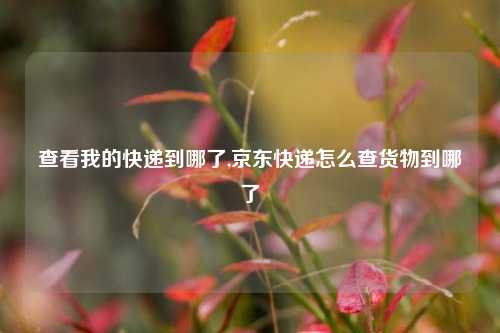 查看我的快递到哪了,京东快递怎么查货物到哪了