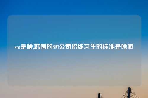 sm是啥,韩国的SM公司招练习生的标准是啥啊