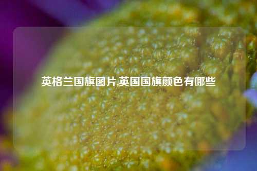 英格兰国旗图片,英国国旗颜色有哪些