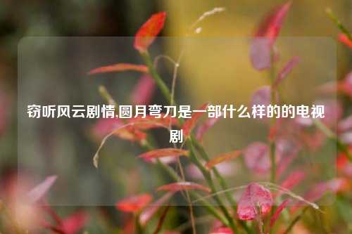 窃听风云剧情,圆月弯刀是一部什么样的的电视剧