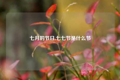 七月的节日,七七节是什么节