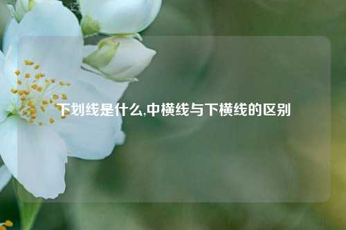 下划线是什么,中横线与下横线的区别