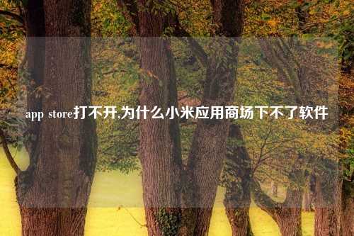 app store打不开,为什么小米应用商场下不了软件